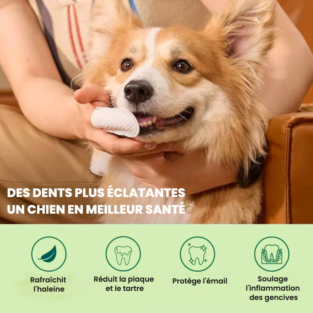 FeshWipes - Lingettes de nettoyage de dents pour chien