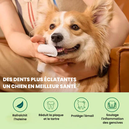 FeshWipes - Lingettes de nettoyage de dents pour chien